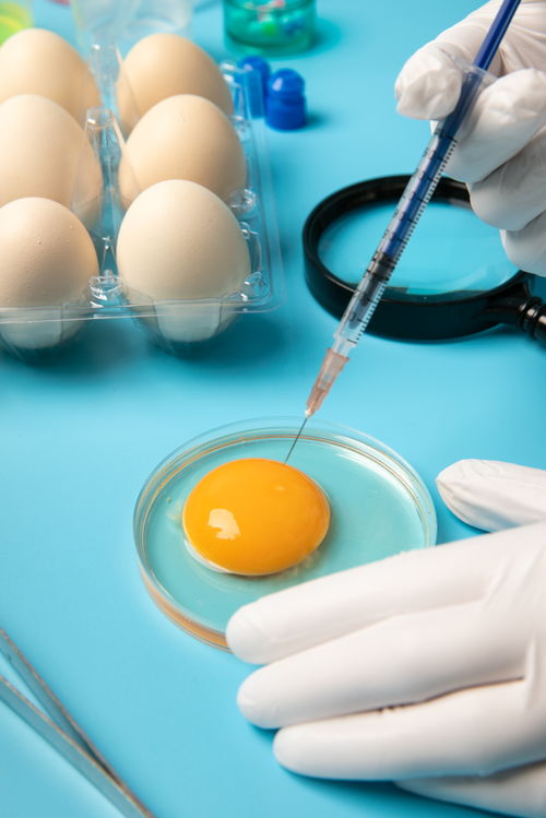 提取雞蛋食品安全農(nóng)業(yè)科技食品培育攝影圖 插畫 下載至來(lái)源處