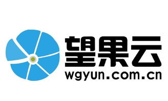 售前咨詢(xún)待遇解析 聚焦中小企業(yè)咨詢(xún)服務(wù)與看準(zhǔn)網(wǎng)平臺(tái)